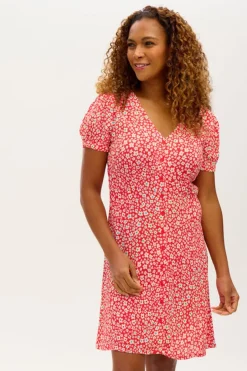 Mini-Sugarhill Brighton Gail Dress Rainbow Daisies